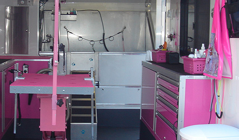 grooming mobile dog pet van groomer business salon salons google spa based setup ups