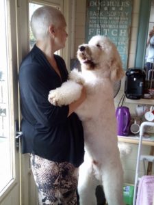 learn to groom dog and owner bond