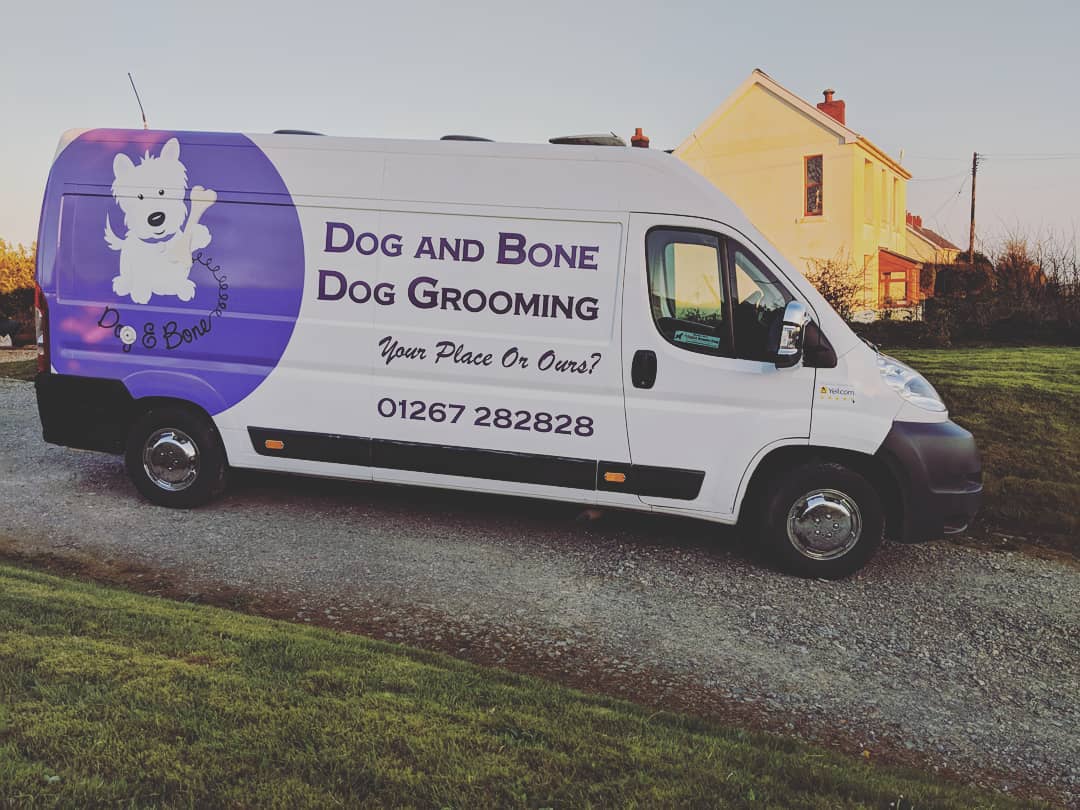 Mobile Dog Grooming Service - Dog and Bone Dog Grooming Services