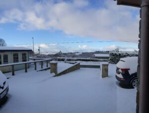 Dog and Bone Grooming. Rural Dog Grooming Salon near carmarthen in winter